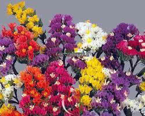 دانلود آهنگ عشق تویی تویی تویی دولتِ جاودانیم نگینه امانقلوا